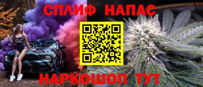 СК Кингисепп