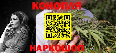 СК Кингисепп