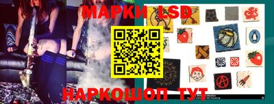 СК Кингисепп