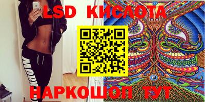 СК Кингисепп