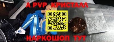 СК Кингисепп